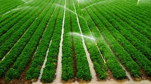 Drip Irrigation Market