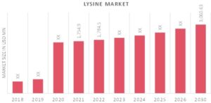 Lysine_Market_Overview (1)