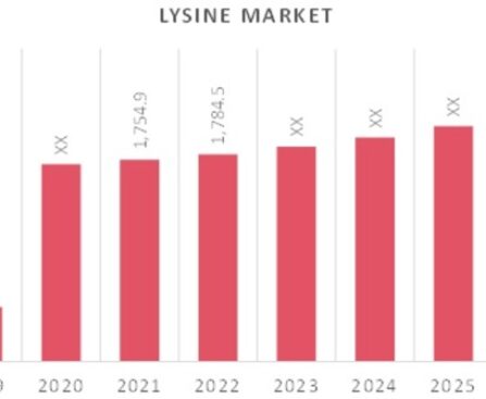 Lysine_Market_Overview (1)