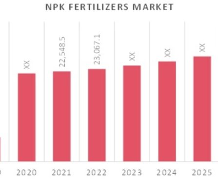 NPK_Fertilizers_Market_Overview