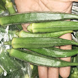 Okra Seeds Market