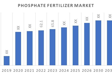 Phosphate_Fertilizer_Market_Overview