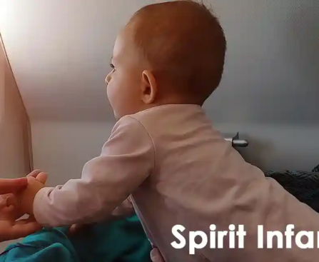 spirit-infant-policy