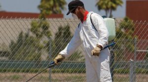 Pest Control North Brisbane