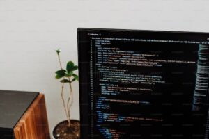 Web Design Firms
