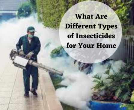 What Are Different Types of Insecticides for Your Home