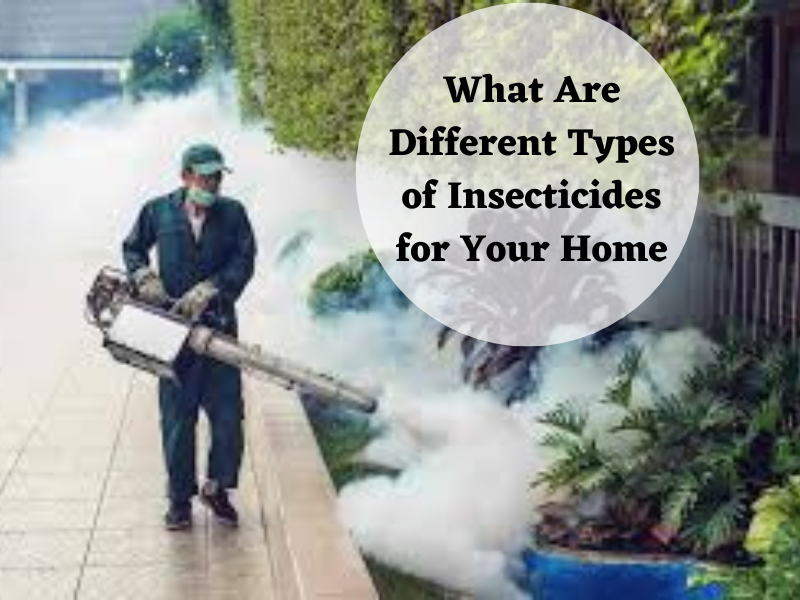 What Are Different Types of Insecticides for Your Home