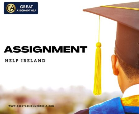 assignment help ireland