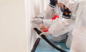 environment consultant