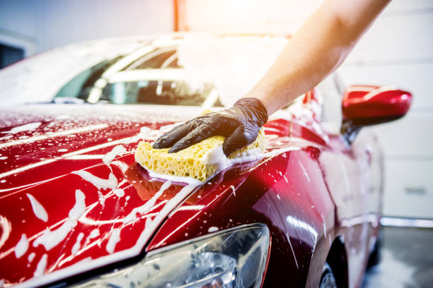 istockphoto-1287044692-612x612