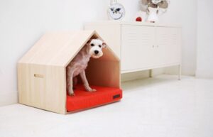 pet home