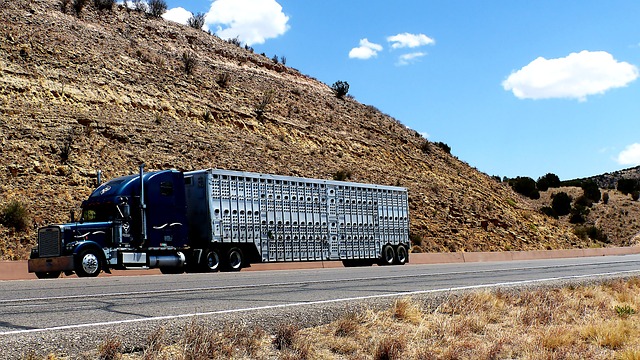 transport-4914869_640