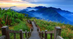 1591366646_On41zz_En_route_Yushan_Mountain_Peak_the_highest_in_Taiwan