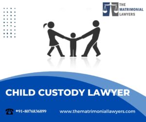 Best Child Custody Lawyer in Delhi