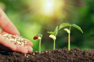 Organic Fertilizer Manufacturing Plant