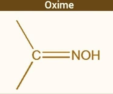 Oxime Manufacturing Plant