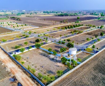 Plot1