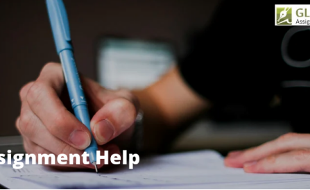 assignment help