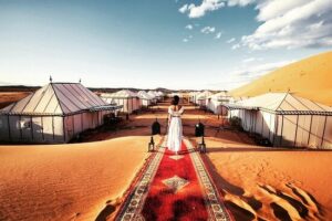 Discover Unmatched Deals on Desert Safaris - Act Now!