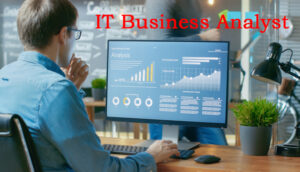 IT Business Analyst
