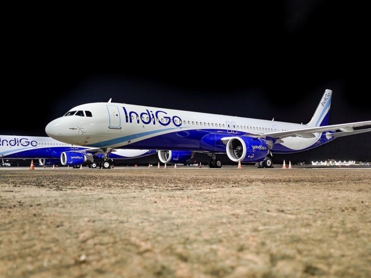 indigo_61d56a8cb87a4