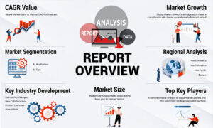 Market Research Report